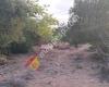 Masia de Carro
