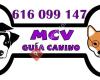 MCV Guía Canino