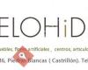 Melohidea