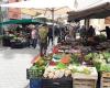 Mercado de Palafrugell