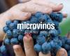 Microvinos