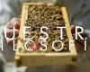 Miel de Melque Apicultura Ecológica Creativa
