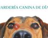 Mimocan Guardería Canina