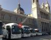 Minibuses y autobuses Torresbus Madrid