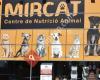 Mircat