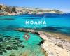 Moana Smart Charter Ibiza