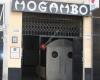 Mogambo Club