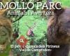 Molló Parc