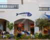Molo47 Restaurant