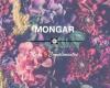 Mongar