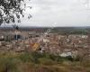 Monzon