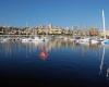 Muelle Deportivo de Las Palmas de Gran Canaria (Sitio Oficial)