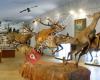 Museo Naturaleza Valle Alberche