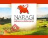 Naragi