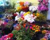 Naranco, Flores y Plantas - Tu floristería en Oviedo