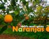 Naranjas Ecológicas Sevilla