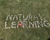 Natural Learning