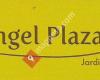 Àngel Plaza Jardineria