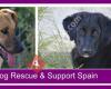 Nico Dog Rescue Support Spain