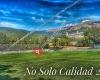 No Solo Calidad 2006
