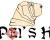 Nuestros Shar Pei