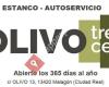 Olivo Trece