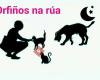 Orfiños na Rúa de Ribeira