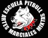 Pajina pibull