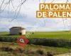Palomares de Palencia
