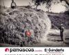 Panadería Panoscos