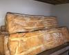 PANADERÍA RUIZ HORNO DE LEÑA.