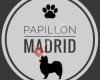 Papillonmadrid