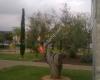 Parque del Jardinillo