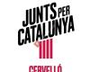 Partit Demòcrata Cervelló