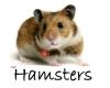 PEL I PLOMES-Menjar i accessoris per les teves mascotes