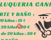 Peluquería canina