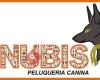 Peluquería Canina Anubis