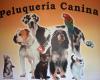 Peluquería Canina La Granja