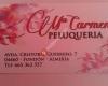 Peluquería Mari Carmen