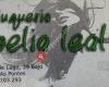 Peluquería Noelia Leal
