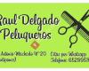 Peluqueria Caballero y Niño RAUL Delgado