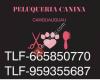 Peluqueria Canina Camguauguau