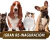 Peluqueria Canina Centro Veterinario Seseña