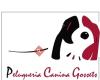 Peluqueria Canina Gossets