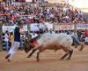 Penya Taurina les Barreres