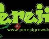 Perejil Grow Shop