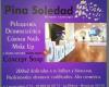 Pina soledad beauty concept