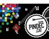 Pindec