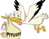 Pitusos