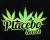 Placeboseeds Spain